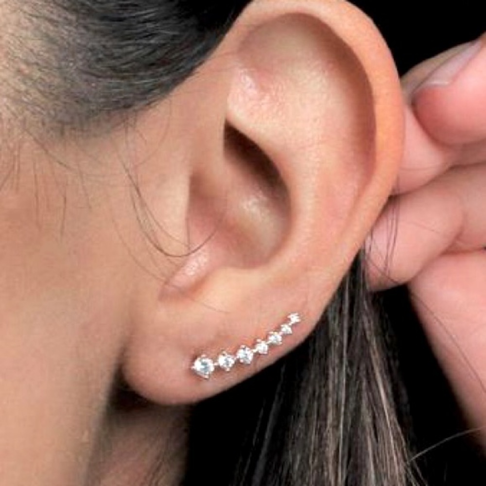 NWT Simple Stone Ear Climber Earrings